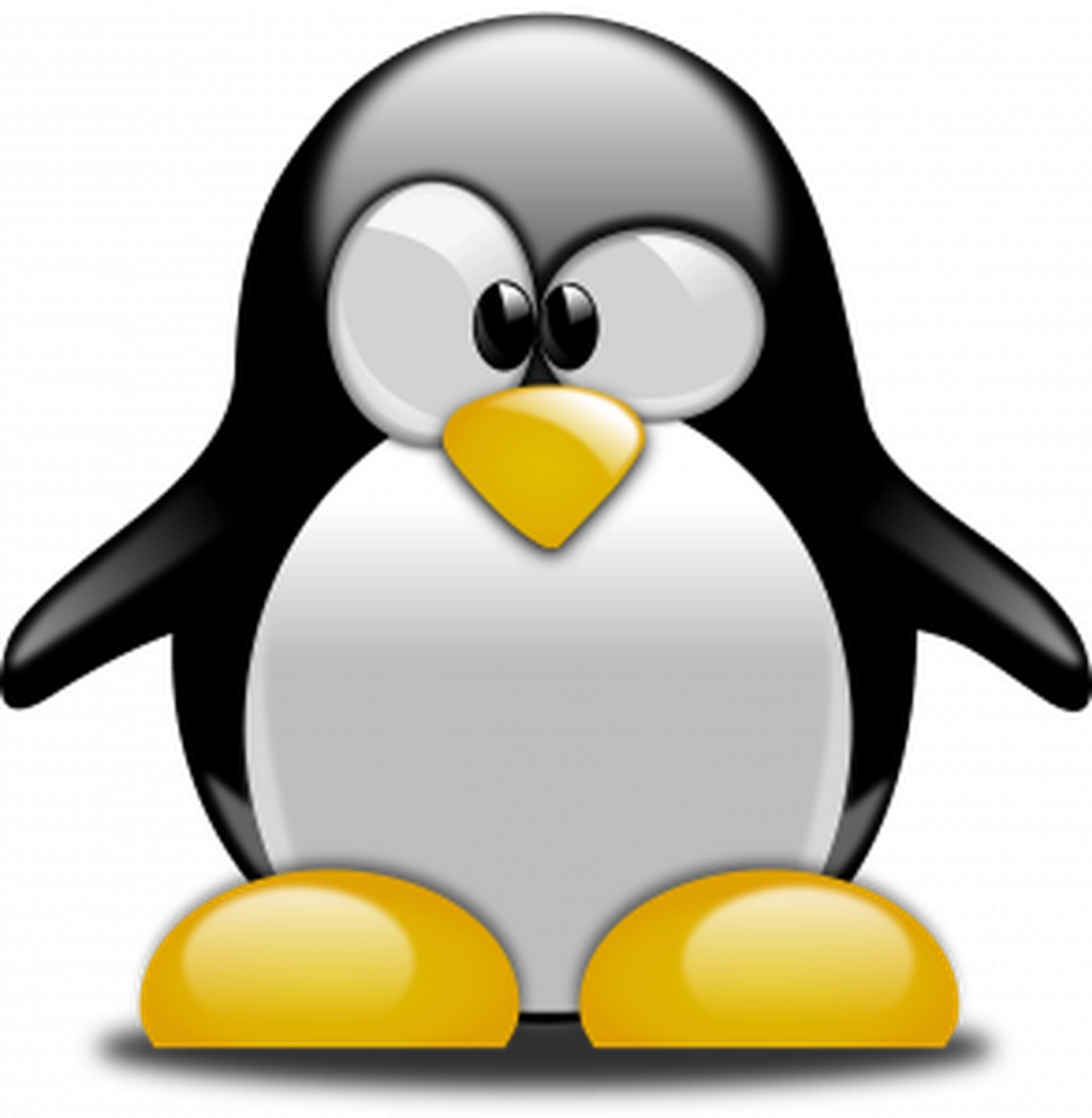 An Update on Penguin
