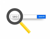Panda or Penguin?